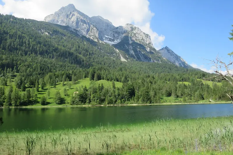 Der grüne Ferchensee, umringt von Fichtenwald unter der hellen Wettersteinwand