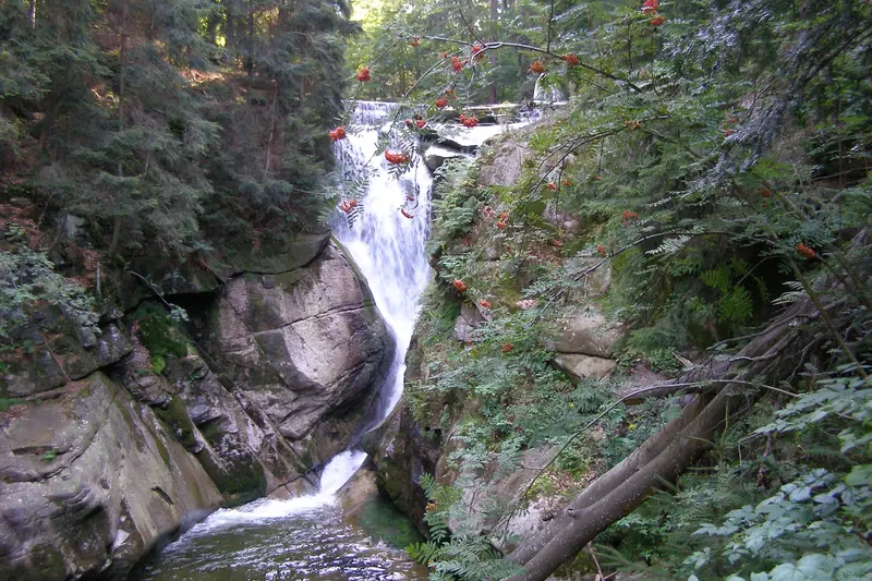 Der Szklarka-Wasserfall stürzt durch eine Granitschlucht, vorne Vogelbeeren